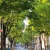 杉並区のおすすめ占いランキング画像のイメージ